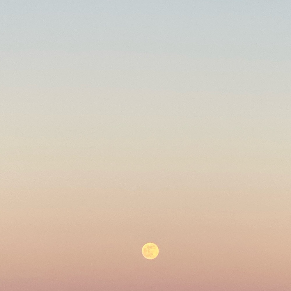 Meet your Posher, Eugenia